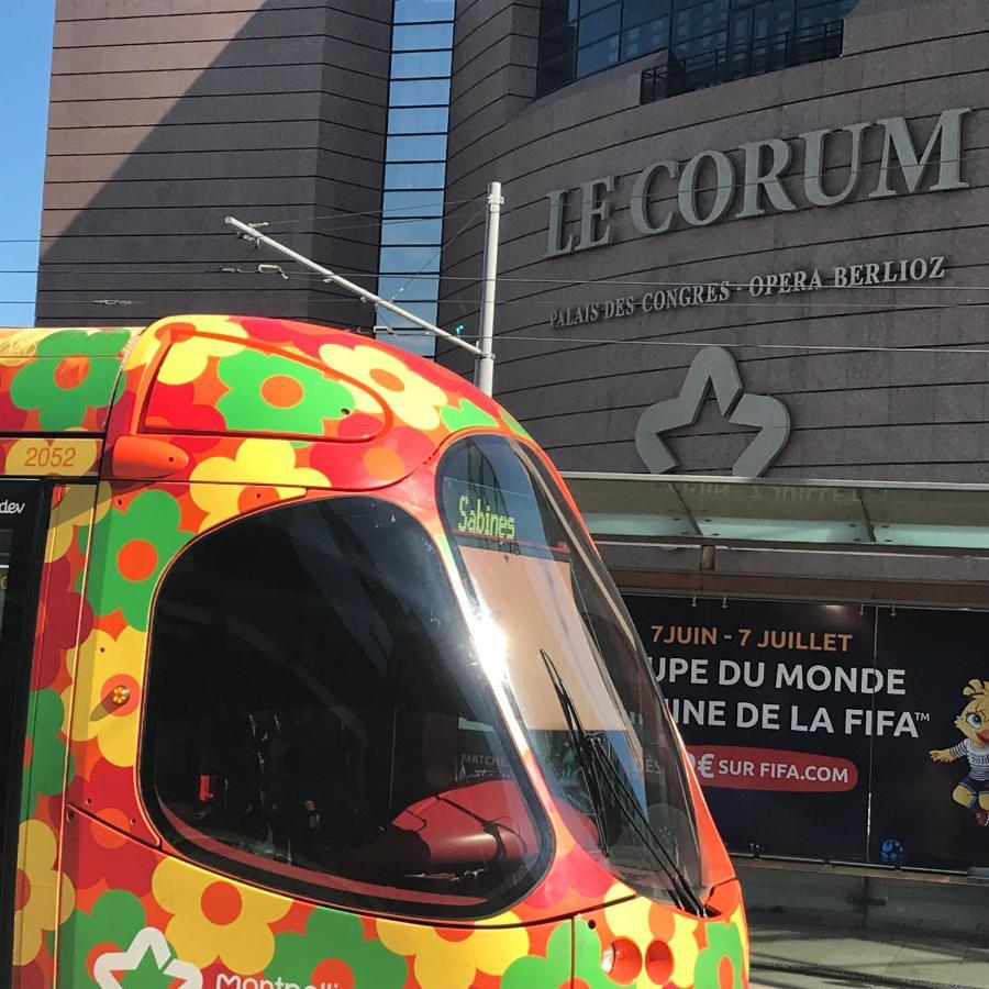 Simone'S Tiny House Daire Montpellier Dış mekan fotoğraf
